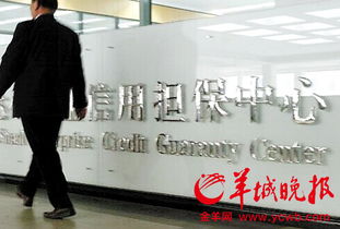 珠海信用擔保業遭遇寒冬 以非融資業務等待春天
